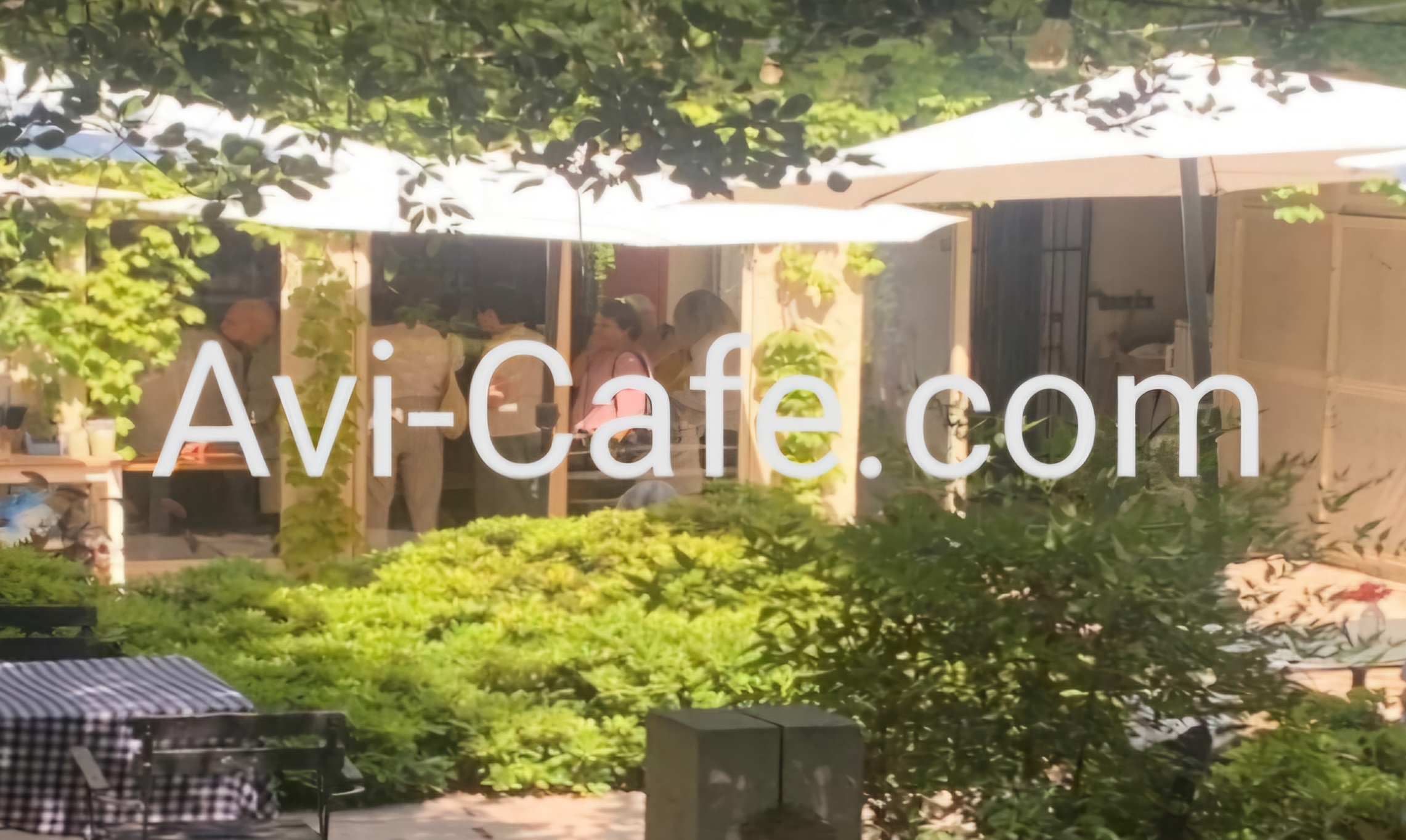 ������ ���� ��� ��� ����� ����, ����� ����� ���� �����